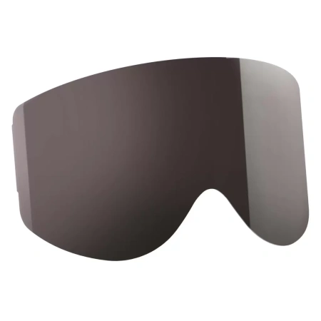 Scott Линзы 80's SGL silver chrome afc works