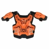 Acerbis Защита тела детская (Панцирь) GRAVITY KID ROOST Orange